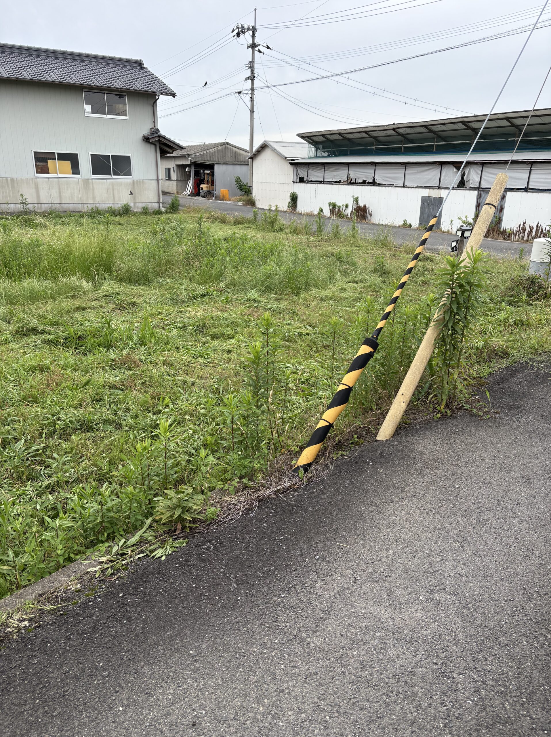 草刈り後の道路側ポールの周辺